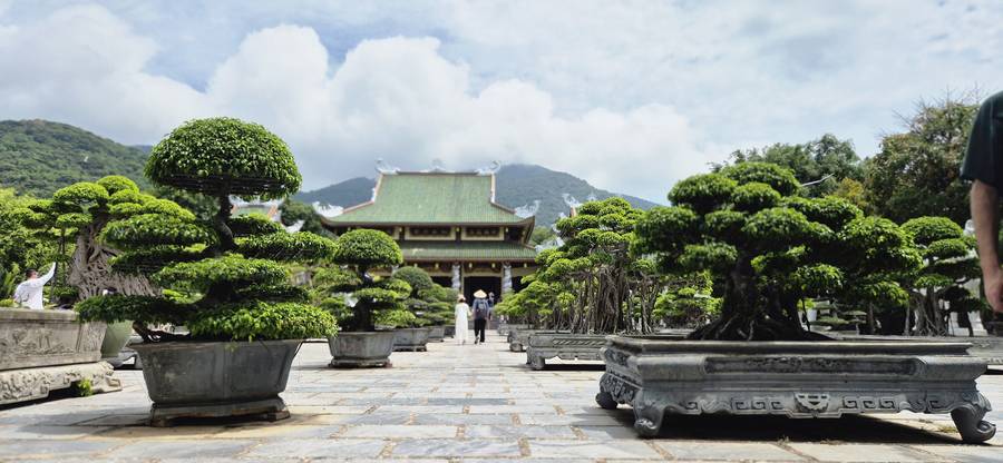 Jardim de bonsais da Linh Ứng Pagoda, na Península de Sơn Trà, em Da Nang, no Vietnã